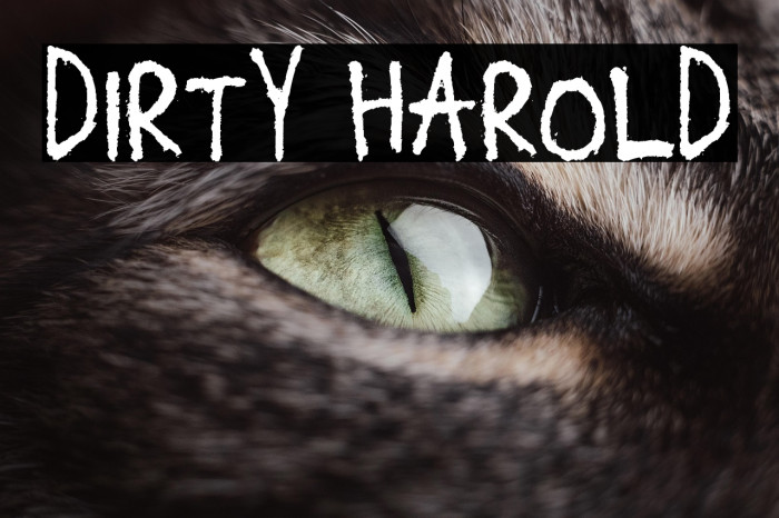 Dirty Harold Example 2