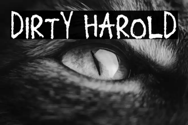 Dirty Harold Fuentes examples