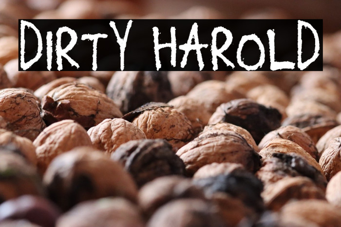 Dirty Harold Example 3