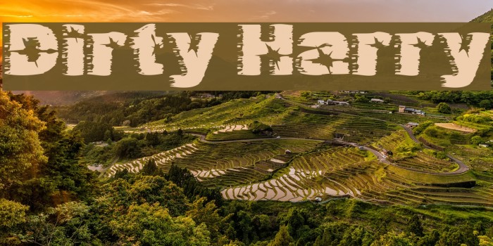 Dirty Harry Font examples