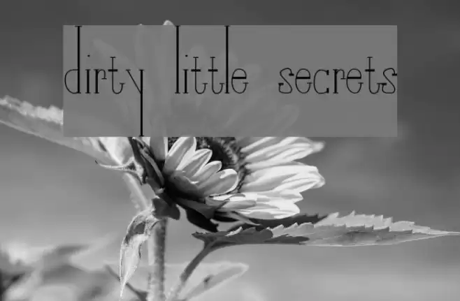 Dirty Little Secrets Font examples