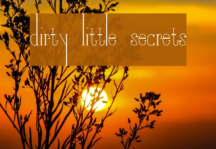 Dirty little secret перевод