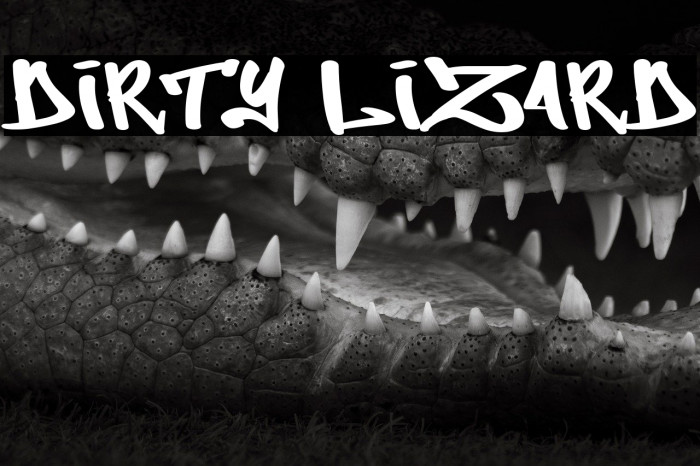 Dirty Lizard Example 1