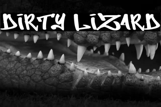 Dirty Lizard Example 1