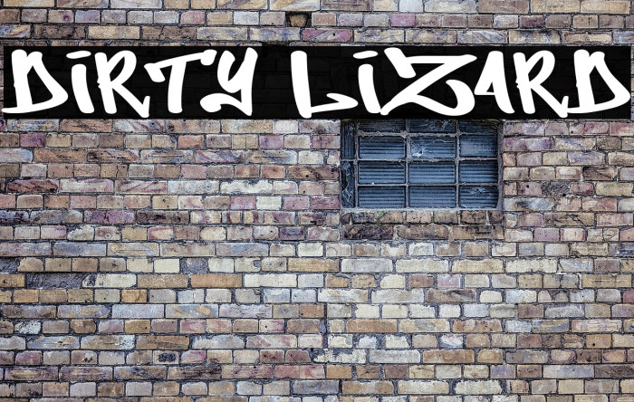 Dirty Lizard Example 2