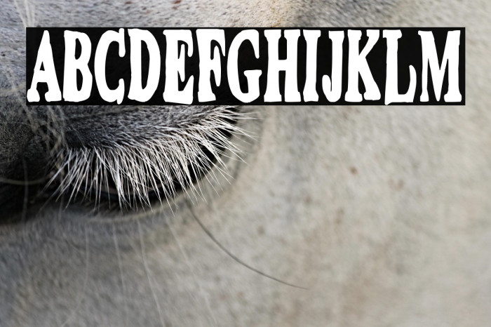 Dirty Montero Example 2