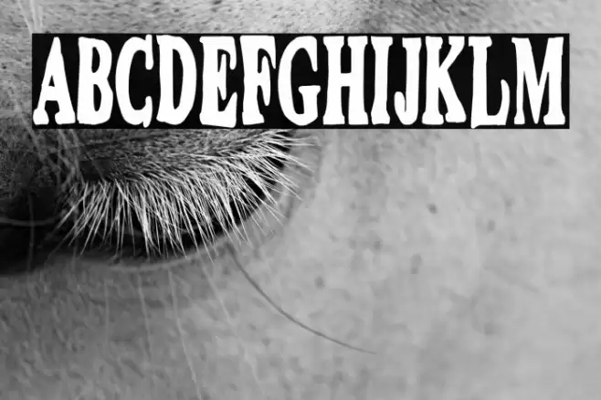 Dirty Montero Schriftart examples