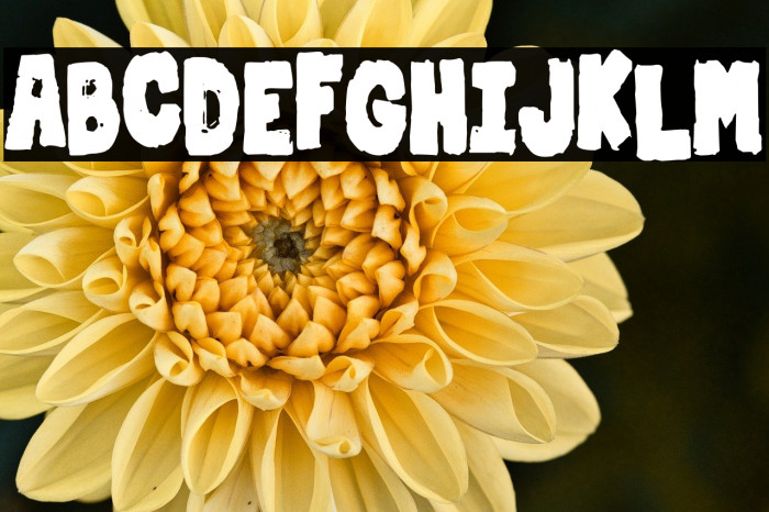 Dirty & Strong Example 1