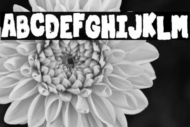 Dirty & Strong Font examples