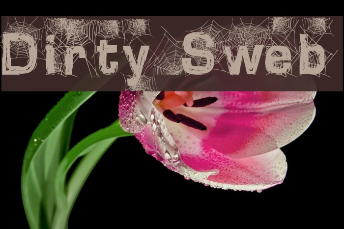 Dirty Sweb Шрифта examples