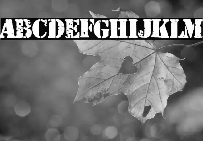 Dirty War Font examples