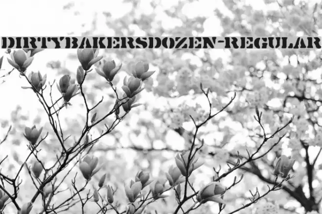 DirtyBakersDozen-Regular Font examples