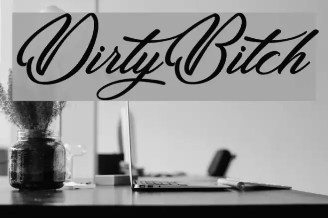 DirtyBitch Example 2