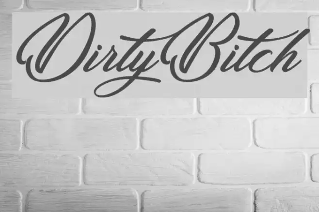 DirtyBitch Example 3