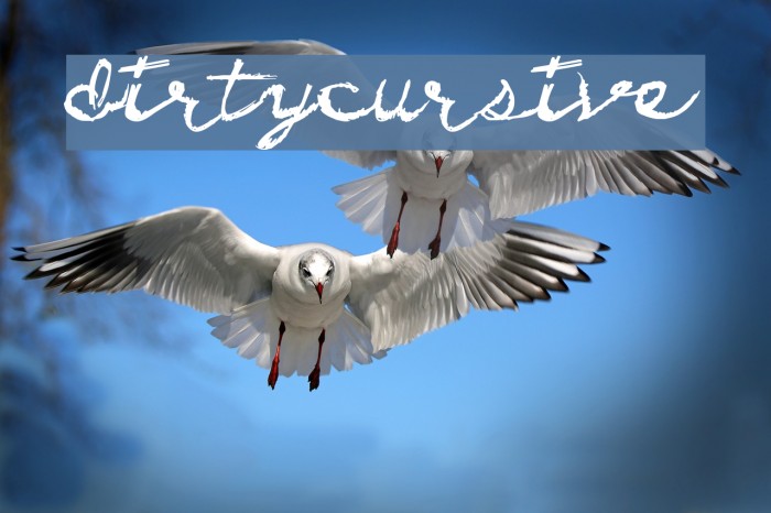 DirtyCursive Font examples