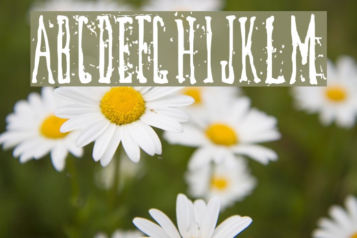DirtyDeco Font examples