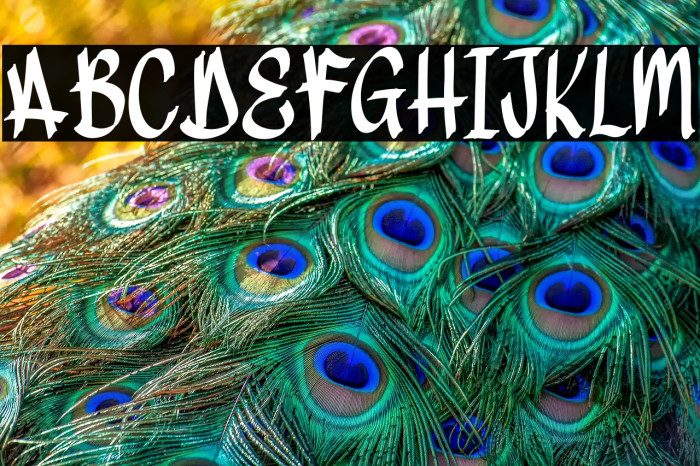 DirtyDroop Example 2