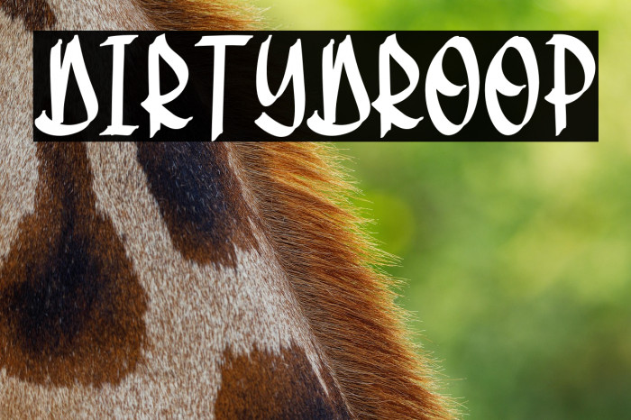 DirtyDroop Example 1