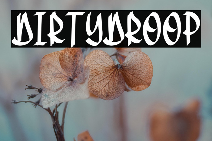 DirtyDroop Example 2