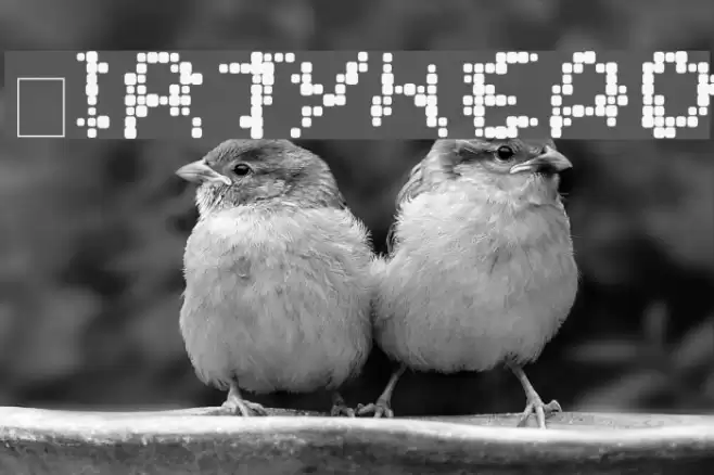 DirtyHead Font examples