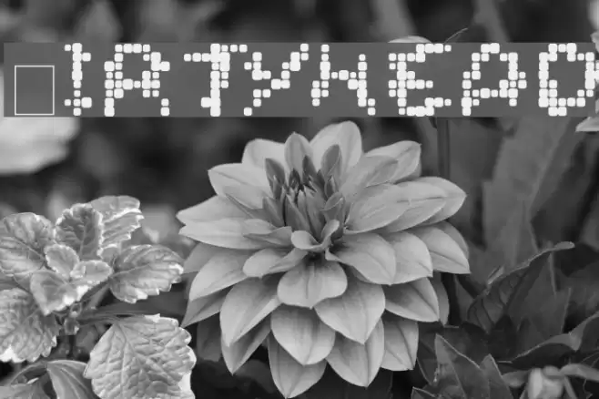 DirtyHead Font examples