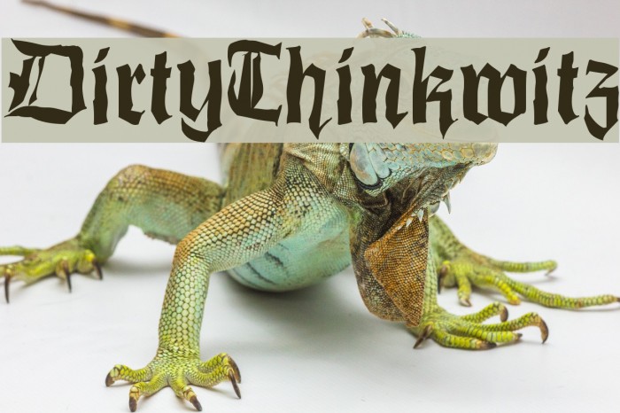 DirtyThinkwitz Example 3