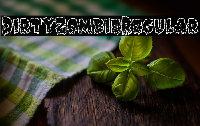 DirtyZombieRegular Example 2