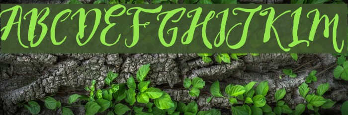 DirtylineRisingBrushFree Font examples