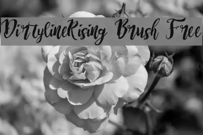 Dirtyline_Rising Brush Free Font examples