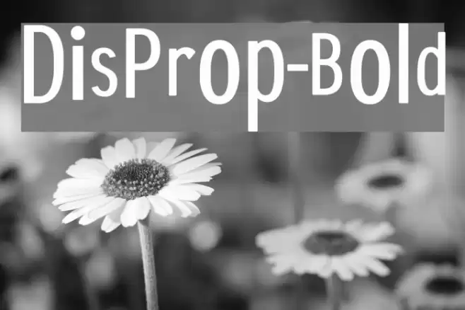 DisProp-Bold Font examples
