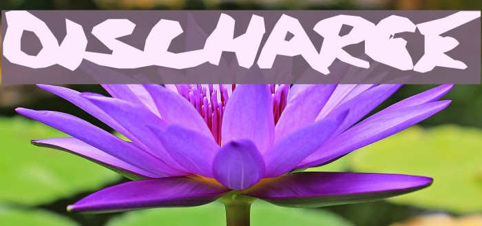 Discharge Font examples