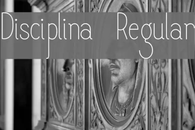 Disciplina-Regular Font examples