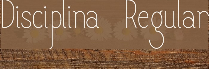 Disciplina-Regular Font examples