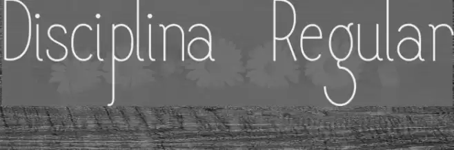 Disciplina-Regular Font examples