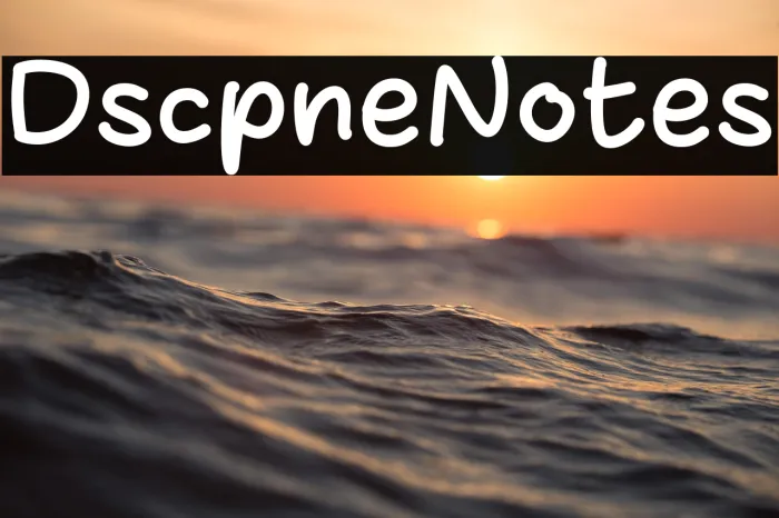 Discipline Notes Example 2