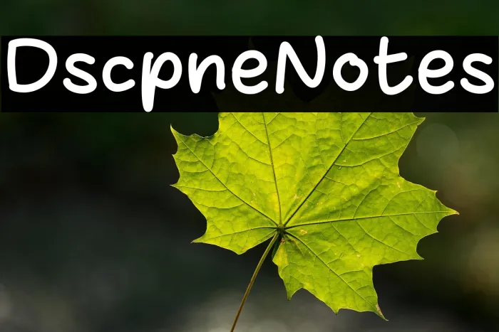 Discipline Notes Example 3