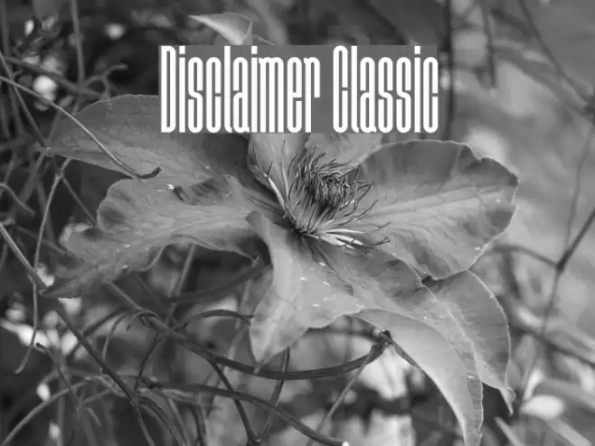 Disclaimer Classic Font examples