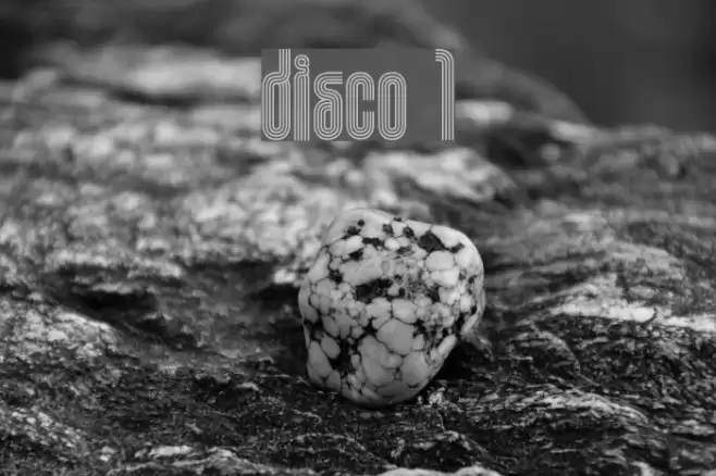 Disco 1 Font examples