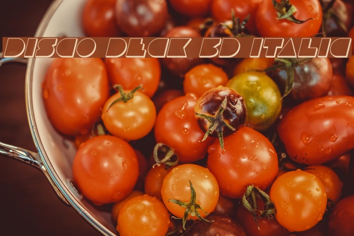 Disco Deck 3D Italic Font examples