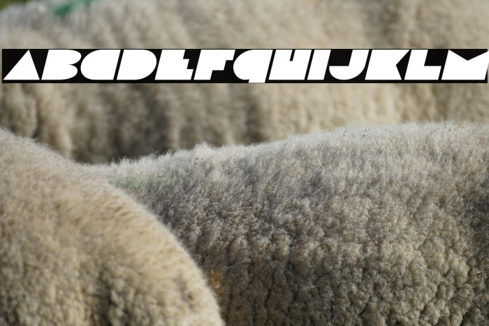 Disco Deck Expanded Italic Example 1