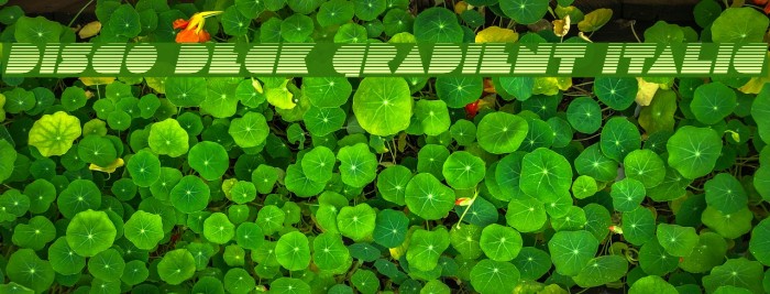 Disco Deck Gradient Italic Font examples