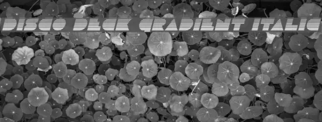 Disco Deck Gradient Italic Example 2
