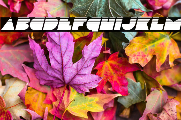 Disco Deck Halftone Italic Example 1