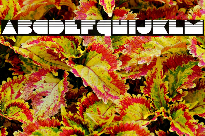 Disco Deck Halftone Example 3