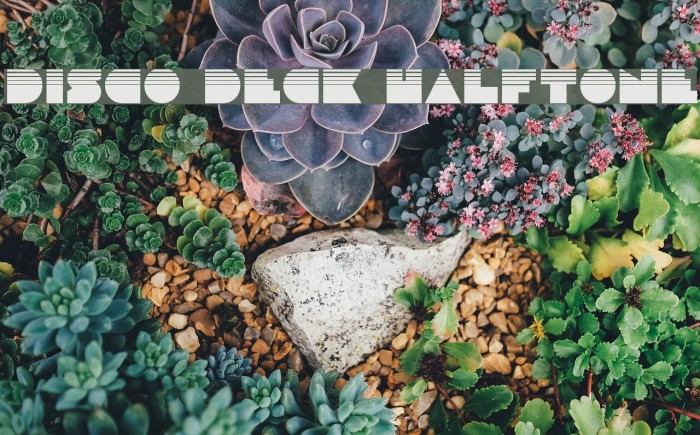 Disco Deck Halftone Font examples