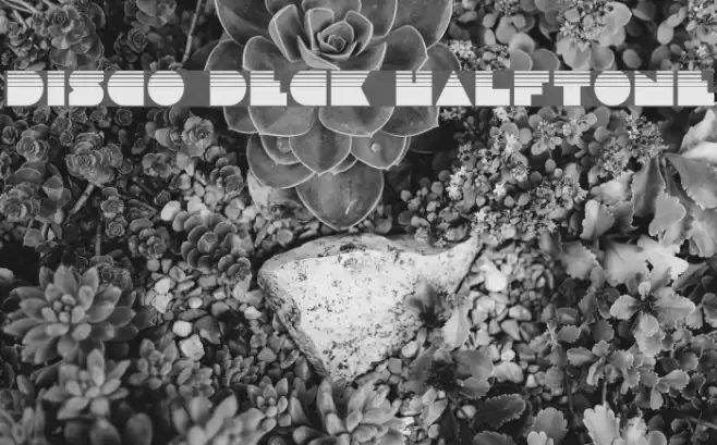Disco Deck Halftone Font examples