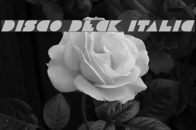 Disco Deck Italic फ़ॉन्ट examples