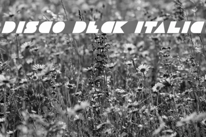 Disco Deck Italic फ़ॉन्ट examples
