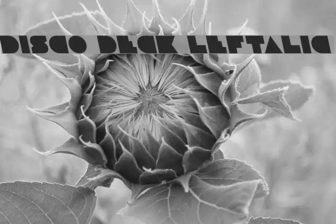 Disco Deck Leftalic Example 1