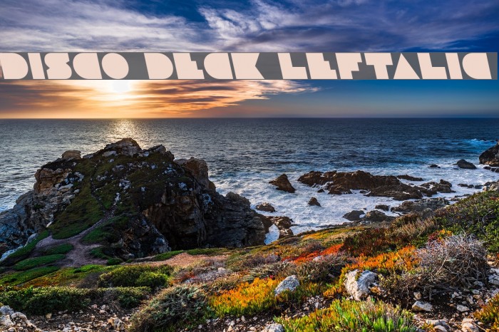 Disco Deck Leftalic Font examples